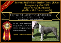Class 12a ~ 1st ~ Amerotic Miss Indiana.png